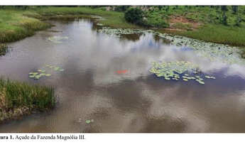 Imagem 2: Fazenda Alto Padrão MA: 2.170ha, BR-316, Pecuária/Soja