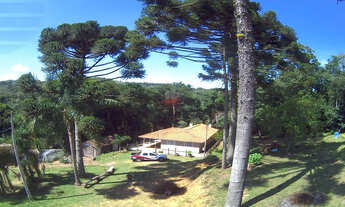 Imagem 6: Chácara venda 21.600m² Mandirituba/Aceita troca