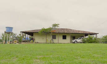 Imagem 5: Fazenda Alto Padrão MA: 2.170ha, BR-316, Pecuária/Soja