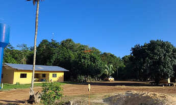 Imagem 7: Fazenda 1740 ha no norte do Tocantins