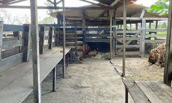 Imagem 3: Fazenda Pecuária Arari-MA (580ha): 13 Açudes e Curral