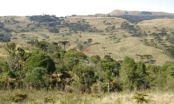 Imagem 5: Urubici: 456ha no Campo dos Padres a 1.823m de Altitude