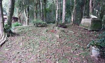 Imagem 6: Chácara em São José dos Pinhais