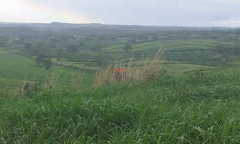 Imagem 7: Fazenda em Palmas TO: 2.265ha com Alta Argila e Chuva