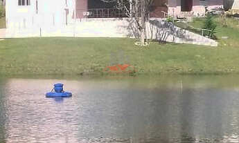 Imagem 2: Chácara em Mandirituba: 18 mil m² perto do Ceasa e BR-116