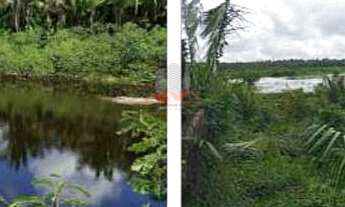 Imagem: Fazenda 2.172ha Pindaré-Mirim/MA Soja