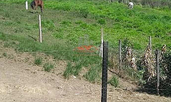 Imagem 6: Chácara em Mandirituba: 18 mil m² perto do Ceasa e BR-116