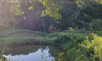 Imagem 2: Chácara Venda em Balsa Nova- Bugre