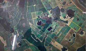 Imagem 3: Fazenda 42 Alqueires em Batayporã: Cana e Fertirrigação