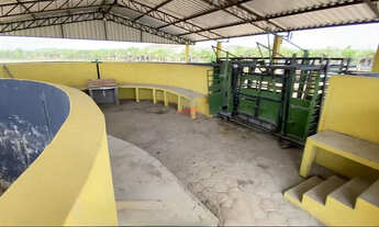 Imagem 2: Fazenda 800ha em Itapecuru-MA