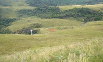 Imagem 4: Urubici: 456ha no Campo dos Padres a 1.823m de Altitude