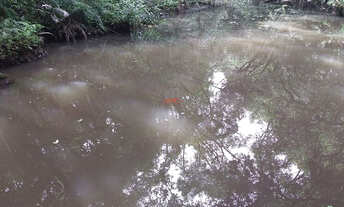 Imagem 3: Chácara em São José dos Pinhais