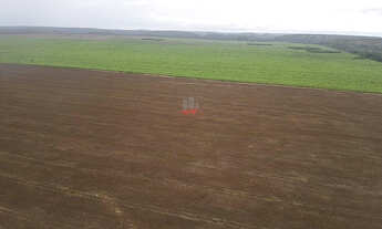 Imagem 5: Fazenda 1.752ha em Pedro Afonso-TO: Lavoura e Pecuária