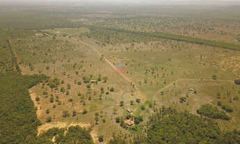 Imagem 3: Fazenda 272 ha em João Pinheiro-MG: 100% Plana e com Poço