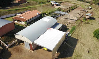Imagem 6: Fazenda em Borrazópolis: 123 Alq, sendo 85 Alq de Lavoura