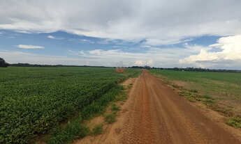 Imagem: Fazenda 1740 ha no norte do Tocantins
