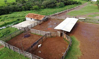 Imagem 6: Fazenda 544 ha à Venda em São Pedro da Ponte Firme - MG