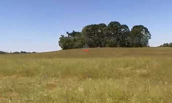 Imagem 2: Chácara a venda em Mandirituba