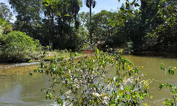 Imagem 3: Fazenda em Lizarda-TO: 488 Alq. de Dupla Aptidão à Venda