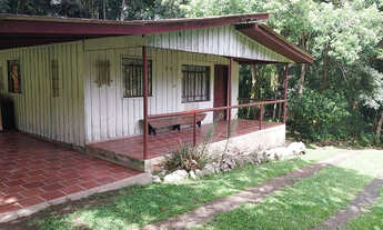 Imagem 5: Chácara em São José dos Pinhais