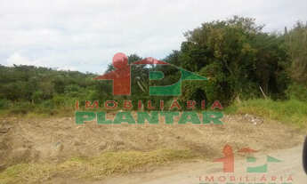 Imagem: Terreno Mato Alto