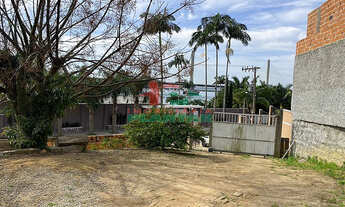 Imagem 5: Terreno Bananal - COM NASCENTE DE ÁGUA