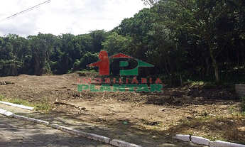 Imagem 3: Terreno Mar Grosso