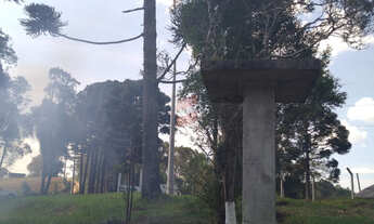 Imagem 3: CHÁCARA à venda com 4840m² por R$ 100.000,00 no bairro Areia Branca - MANDIRITUBA / PR