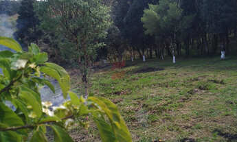 Imagem 4: CHÁCARA à venda com 4840m² por R$ 100.000,00 no bairro Areia Branca - MANDIRITUBA / PR