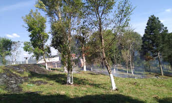 Imagem 7: CHÁCARA à venda com 4840m² por R$ 100.000,00 no bairro Areia Branca - MANDIRITUBA / PR