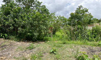 Imagem 7: ÁREA à venda com 3363.3m² por R$ 1.400.000,00 no bairro Canguiri - COLOMBO / PR