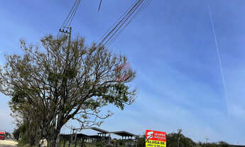 Imagem 6: ÁREA à venda com 12300m² no bairro Emiliano Perneta - PINHAIS / PR