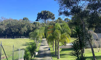 Imagem 1: CASA com 2 dormitórios à venda com 5416m² por R$ 1.600.000,00 no bairro planta laranjeiras