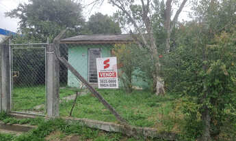 Imagem: P data-start 135 data-end 223 Terreno