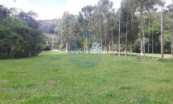 Imagem 5: Sítio a Venda no bairro Carmo Messias - Ibiuna, SP