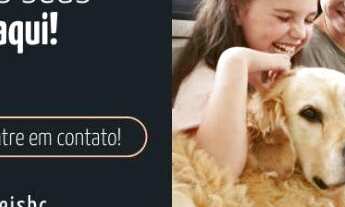 Imagem 4: Apartamento Edificio Torre Blanca em Balneario Camboriu