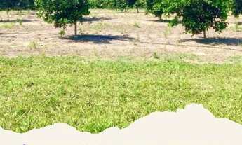 Imagem: Lindo Sítio com 500.000m² à Venda em