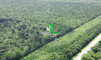 Imagem 4: Área de terra à venda em Pontal do Paraná