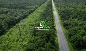 Imagem 5: Área de terra à venda em Pontal do Paraná