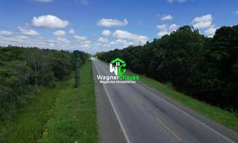 Imagem 7: Área de terra à venda em Pontal do Paraná