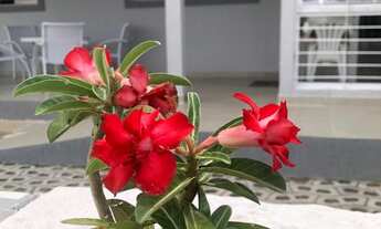 Imagem: Casa para Locação em Cabedelo, Camboinha