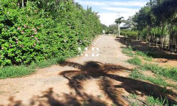 Imagem 5: Sítio à venda em Artur Nogueira - 2 Alqueires