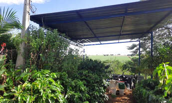 Imagem 4: Sítio à venda em Artur Nogueira - 2 Alqueires