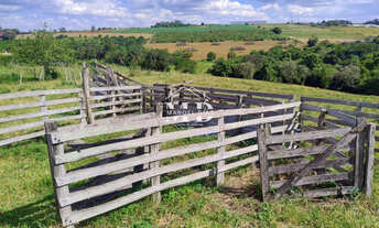 Imagem: CHÁCARA DE 20.000 m² EM ARTUR NOGUEIRA