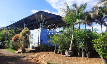 Imagem 6: Sítio à venda em Artur Nogueira - 2 Alqueires