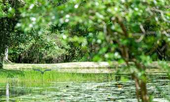 Imagem: Terreno em Camboriú - Rio do Meio