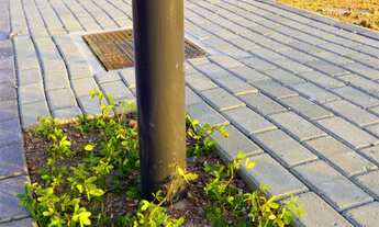 Imagem 7: Terreno em Camboriú - Várzea do Ranchinho