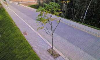 Imagem 3: Terreno em Camboriú - Várzea do Ranchinho