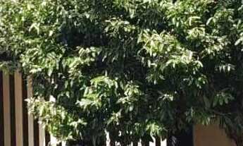 Imagem: Casa em José Bonifácio SP Jardim Sansone