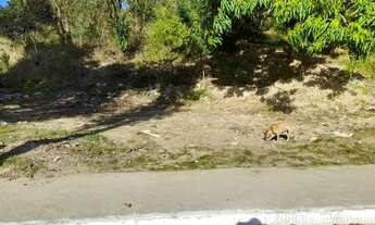 Imagem 4: Terreno para Venda em Tanguá, Bandeirante l